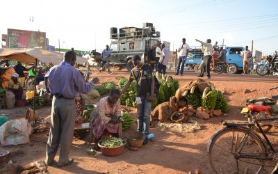 Newest African Harvest and Prayer Diary