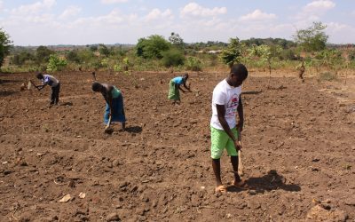 African Enterprise in Malawi